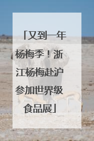 又到一年杨梅季！浙江杨梅赴沪参加世界级食品展