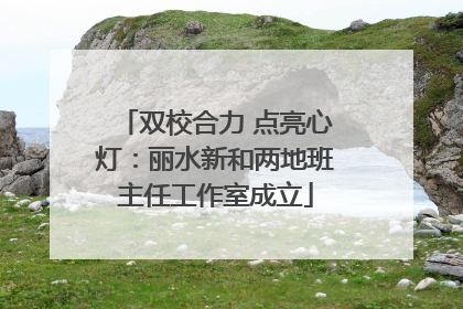 双校合力 点亮心灯：丽水新和两地班主任工作室成立
