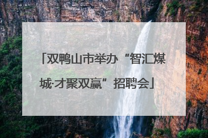 双鸭山市举办“智汇煤城·才聚双赢”招聘会