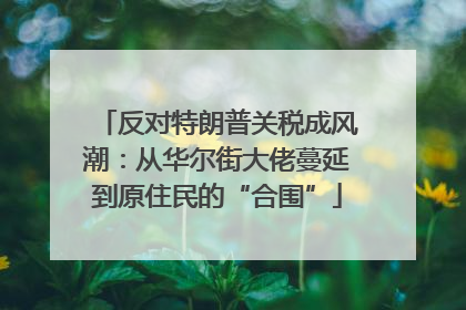 反对特朗普关税成风潮：从华尔街大佬蔓延到原住民的“合围”