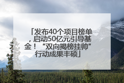 发布40个项目榜单，启动50亿元引导基金！“双向揭榜挂帅”行动成果丰硕