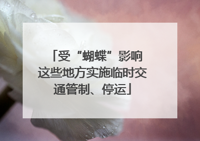 受“蝴蝶”影响 这些地方实施临时交通管制、停运