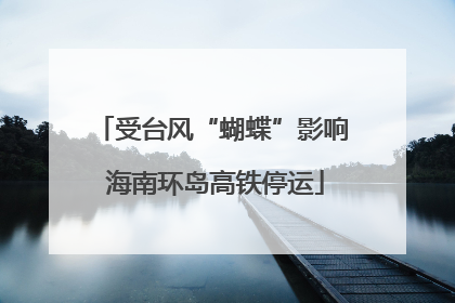 受台风“蝴蝶”影响 海南环岛高铁停运