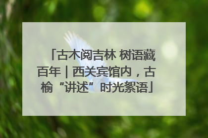 古木阅吉林 树语藏百年｜西关宾馆内，古榆“讲述”时光絮语