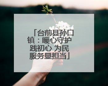 台前县孙口镇：暖心守护践初心 为民服务显担当