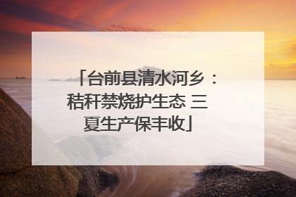 台前县清水河乡：秸秆禁烧护生态 三夏生产保丰收