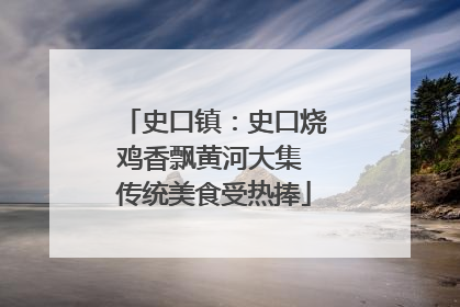 史口镇：史口烧鸡香飘黄河大集 传统美食受热捧