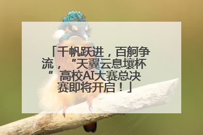千帆跃进，百舸争流，“天翼云息壤杯”高校AI大赛总决赛即将开启！