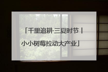 千里追耕·三夏时节丨小小树莓拉动大产业