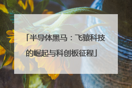 半导体黑马：飞骧科技的崛起与科创板征程