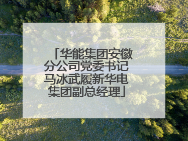 华能集团安徽分公司党委书记马冰武履新华电集团副总经理