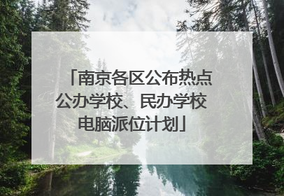 南京各区公布热点公办学校、民办学校电脑派位计划
