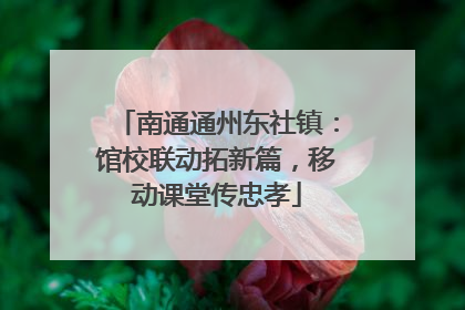 南通通州东社镇：馆校联动拓新篇，移动课堂传忠孝