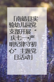 南靖县实验幼儿园党支部开展“庆七一•严明纪律守初心”主题党日活动