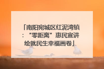 南阳宛城区红泥湾镇：“零距离”惠民宣讲 绘就民生幸福画卷