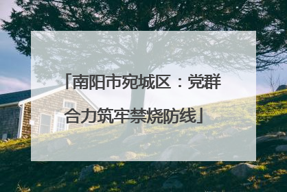 南阳市宛城区：党群合力筑牢禁烧防线
