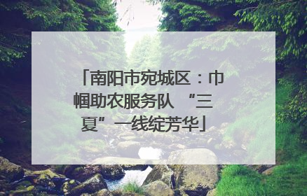 南阳市宛城区：巾帼助农服务队 “三夏”一线绽芳华