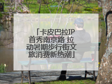 卡皮巴拉IP首秀南京路 拉动暑期步行街文旅消费新热潮