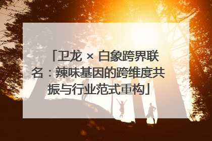 卫龙 × 白象跨界联名：辣味基因的跨维度共振与行业范式重构