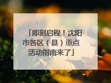 即刻启程！沈阳市各区（县）重点活动指南来了