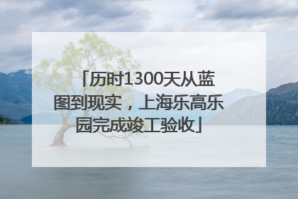 历时1300天从蓝图到现实，上海乐高乐园完成竣工验收