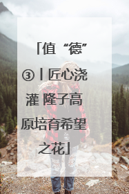 值“德”③丨匠心浇灌 隆子高原培育希望之花
