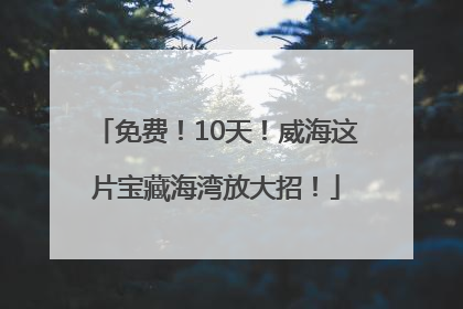 免费！10天！威海这片宝藏海湾放大招！