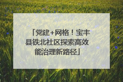 党建+网格！宝丰县铁北社区探索高效能治理新路径