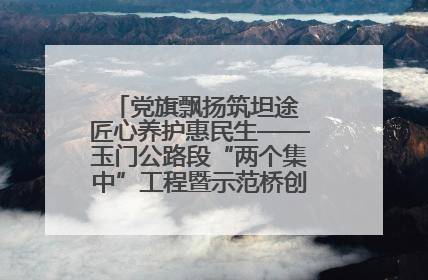 党旗飘扬筑坦途 匠心养护惠民生——玉门公路段“两个集中”工程暨示范桥创建项目圆满收官
