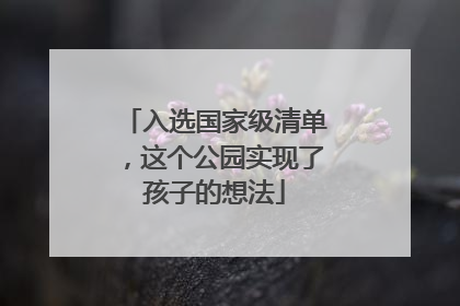 入选国家级清单，这个公园实现了孩子的想法