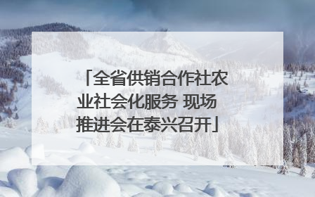 全省供销合作社农业社会化服务 现场推进会在泰兴召开