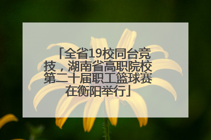 全省19校同台竞技，湖南省高职院校第二十届职工篮球赛在衡阳举行