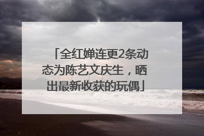 全红婵连更2条动态为陈艺文庆生，晒出最新收获的玩偶