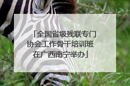 全国省级残联专门协会工作骨干培训班在广西南宁举办
