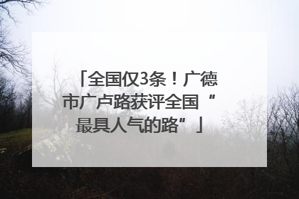 全国仅3条！广德市广卢路获评全国“最具人气的路”