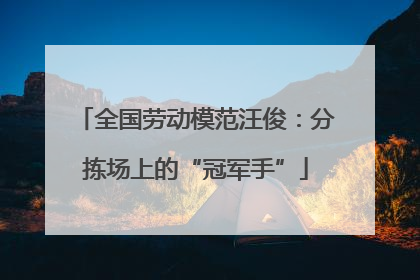 全国劳动模范汪俊：分拣场上的“冠军手”