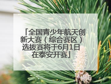 全国青少年航天创新大赛（综合赛区）选拔赛将于6月1日在泰安开赛