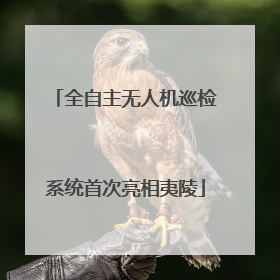 全自主无人机巡检系统首次亮相夷陵