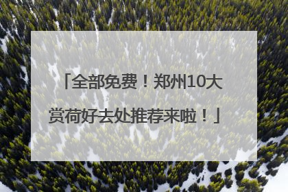 全部免费！郑州10大赏荷好去处推荐来啦！