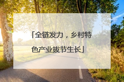 全链发力，乡村特色产业拔节生长