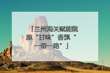 兰州海关赋能陇原“甘味”香飘“一带一路”
