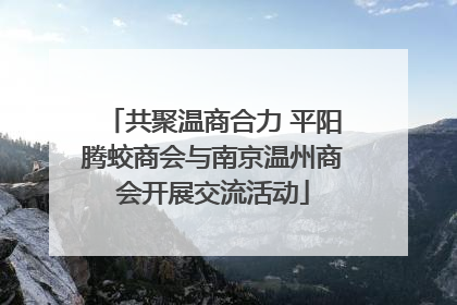 共聚温商合力 平阳腾蛟商会与南京温州商会开展交流活动
