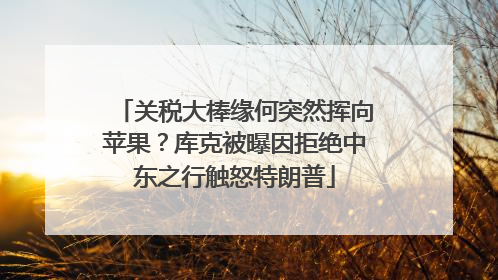 关税大棒缘何突然挥向苹果？库克被曝因拒绝中东之行触怒特朗普