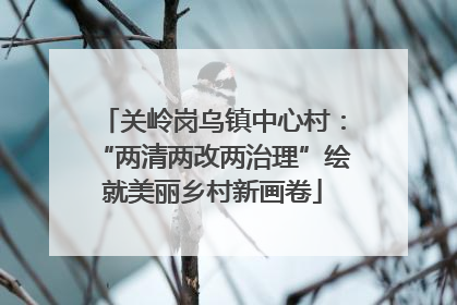 关岭岗乌镇中心村：“两清两改两治理”绘就美丽乡村新画卷