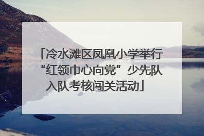 冷水滩区凤凰小学举行“红领巾心向党”少先队入队考核闯关活动