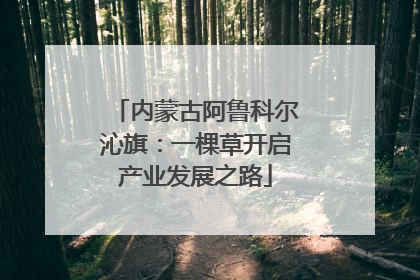 内蒙古阿鲁科尔沁旗：一棵草开启产业发展之路