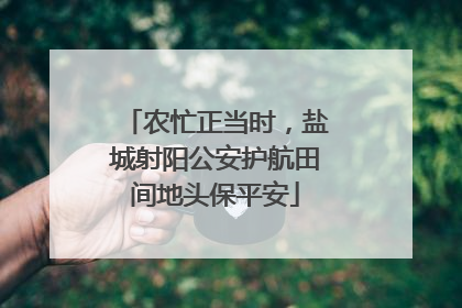 农忙正当时，盐城射阳公安护航田间地头保平安