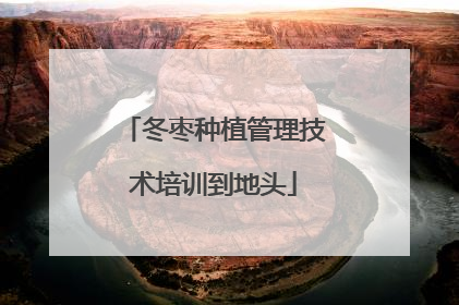 冬枣种植管理技术培训到地头