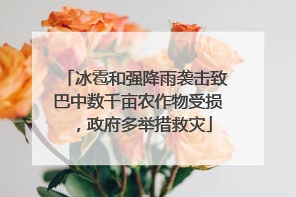 冰雹和强降雨袭击致巴中数千亩农作物受损，政府多举措救灾