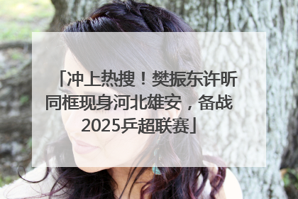 冲上热搜！樊振东许昕同框现身河北雄安，备战2025乒超联赛